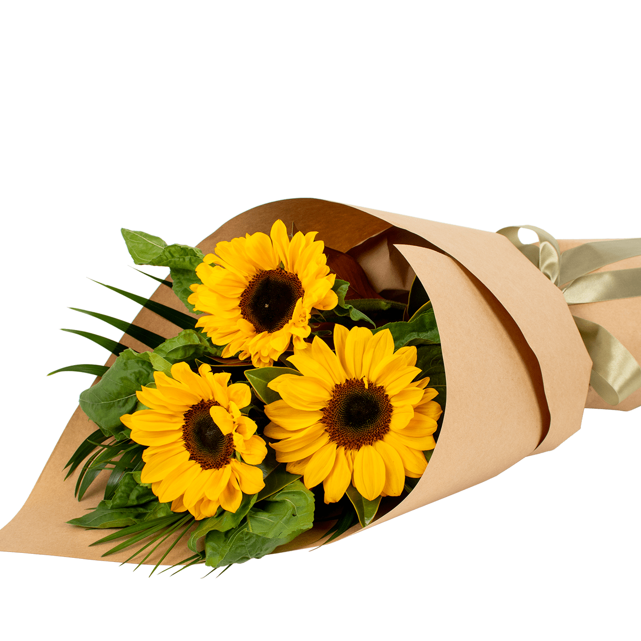 Sun Flowers Helianthus Auckland Florist Free Flower Delivery