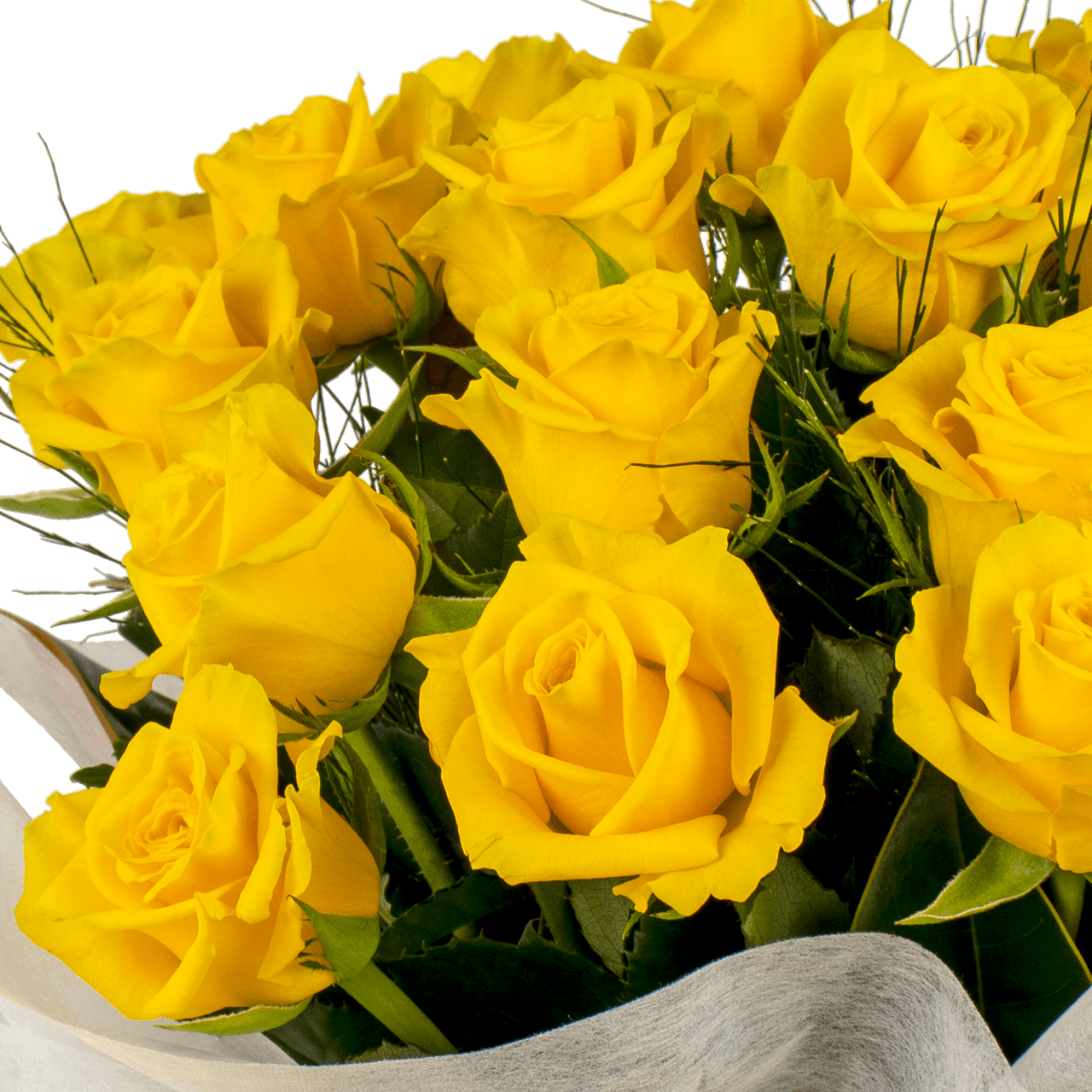 Get Well Flowers And Gift Baskets Free Flower And Gift Delivery Auckland